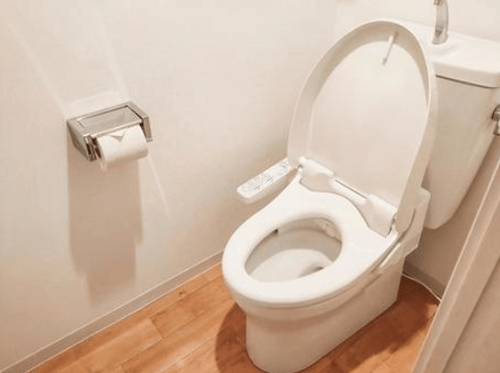 金運アップにトイレ掃除は必須