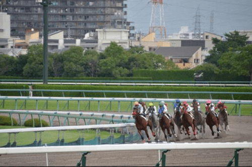 おまかせAI運用は競馬？